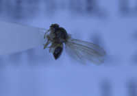 电子游戏app下载安装