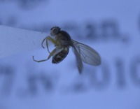 电子游戏app下载安装