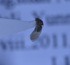 电子游戏app下载安装