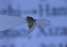 电子游戏app下载安装