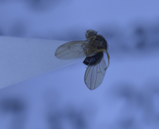 电子游戏app下载安装