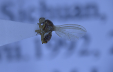 电子游戏app下载安装