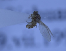 电子游戏app下载安装