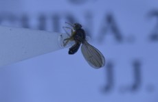 电子游戏app下载安装