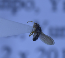 电子游戏app下载安装