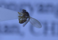 电子游戏app下载安装