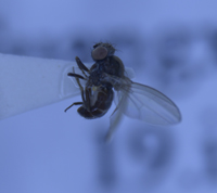 电子游戏app下载安装