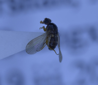 电子游戏app下载安装