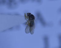 电子游戏app下载安装