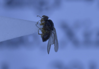 电子游戏app下载安装