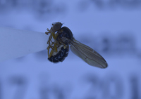 电子游戏app下载安装