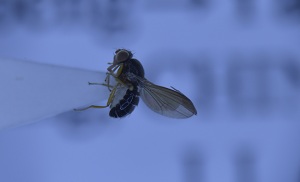 电子游戏app下载安装