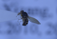 电子游戏app下载安装