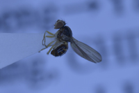 电子游戏app下载安装