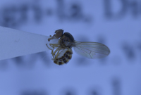 电子游戏app下载安装