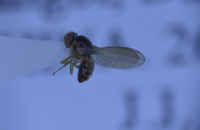 电子游戏app下载安装