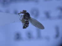 电子游戏app下载安装