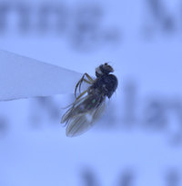 电子游戏app下载安装