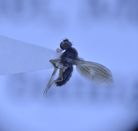 电子游戏app下载安装