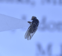 电子游戏app下载安装