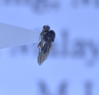 电子游戏app下载安装