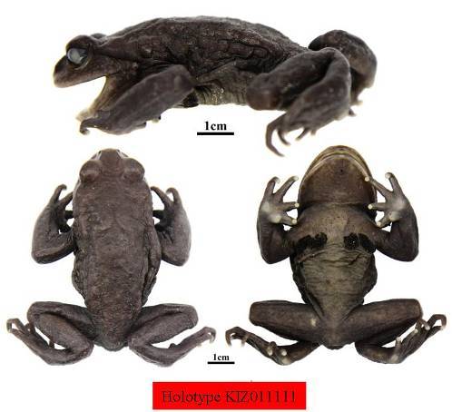 电子游戏app下载安装