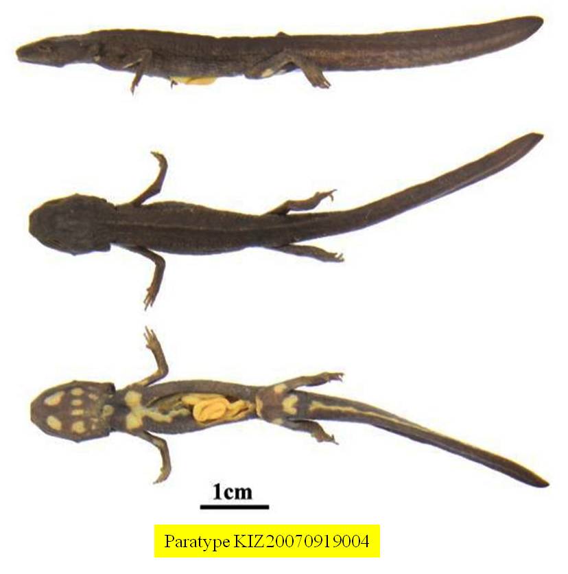 电子游戏app下载安装