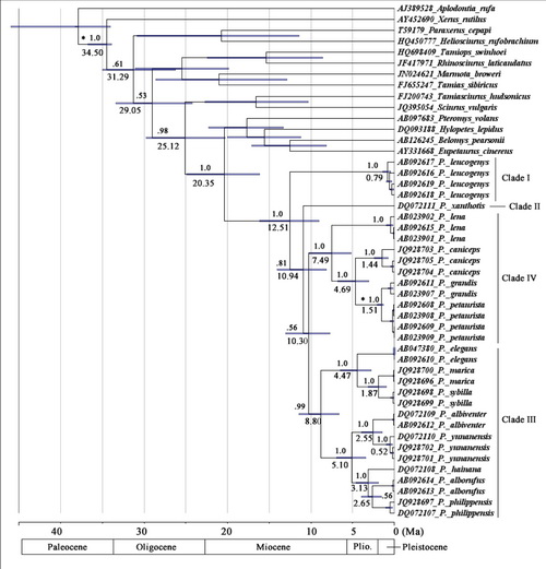 电子游戏app下载安装