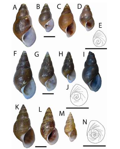 电子游戏app下载安装