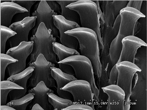 电子游戏app下载安装