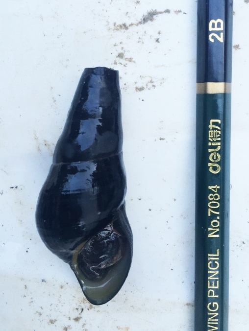 电子游戏app下载安装