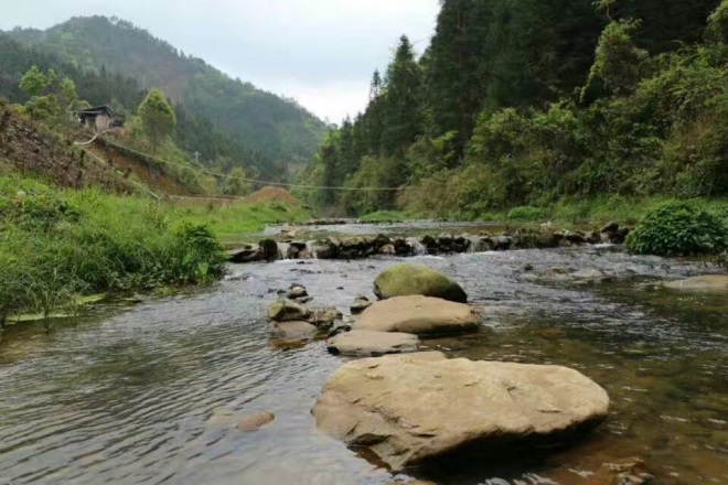 电子游戏app下载安装