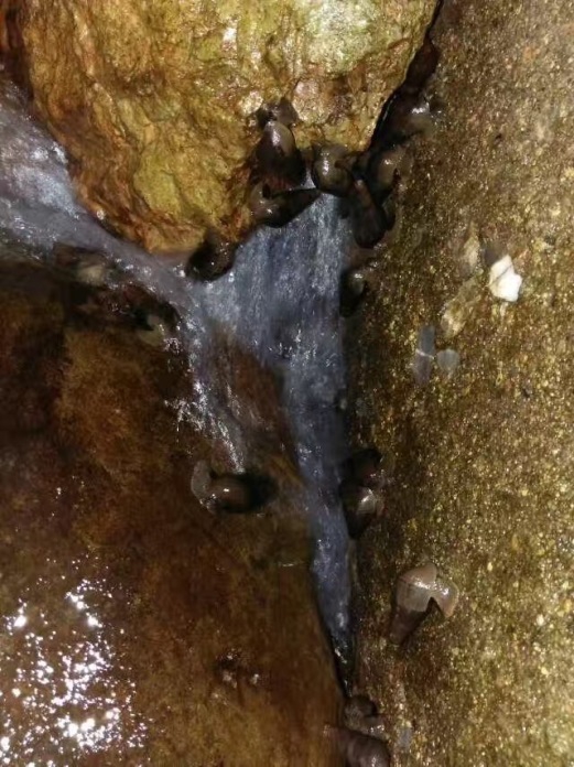 电子游戏app下载安装