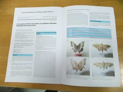 电子游戏app下载安装