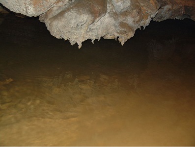 电子游戏app下载安装