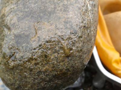 电子游戏app下载安装