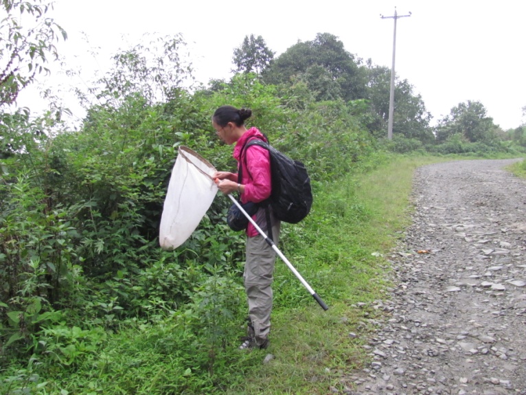 电子游戏app下载安装