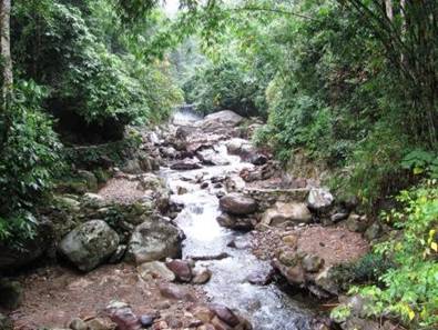 电子游戏app下载安装