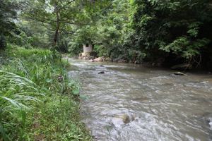 电子游戏app下载安装