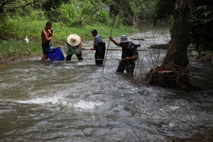 电子游戏app下载安装
