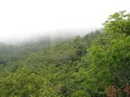 电子游戏app下载安装