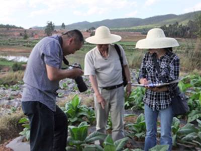 电子游戏app下载安装