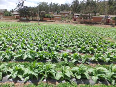 电子游戏app下载安装