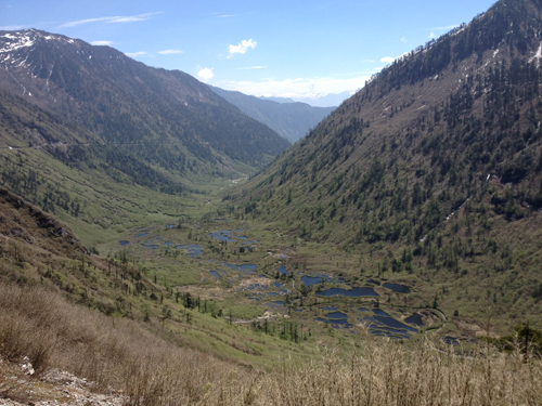 电子游戏app下载安装