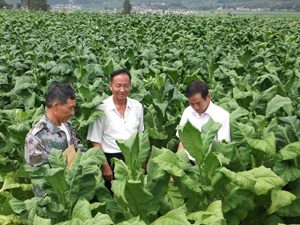 电子游戏app下载安装