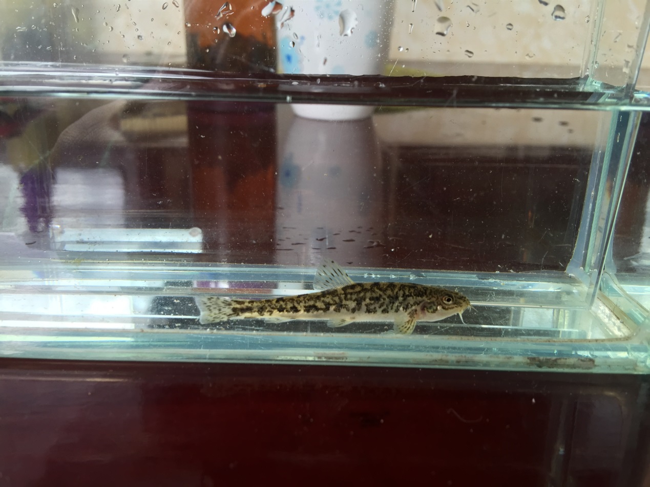 电子游戏app下载安装