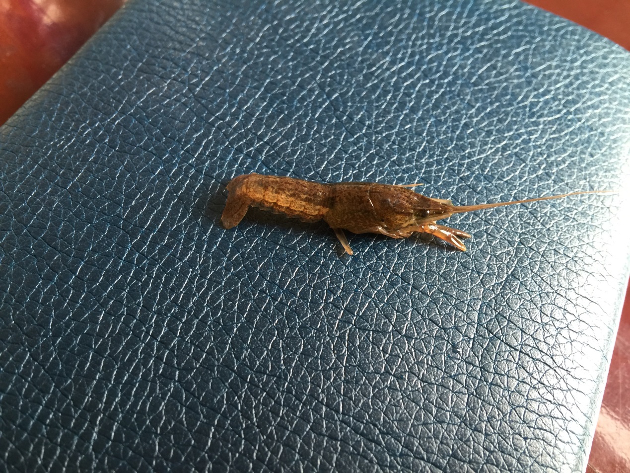 电子游戏app下载安装