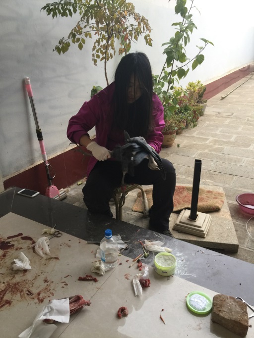 电子游戏app下载安装