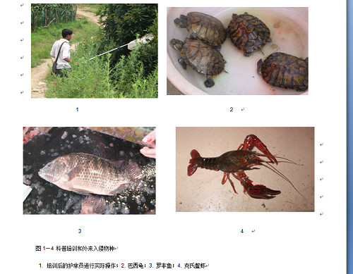 电子游戏app下载安装