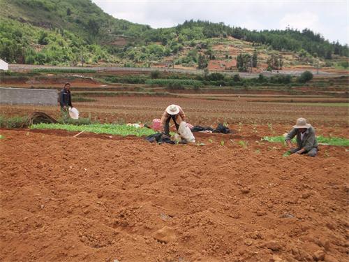 电子游戏app下载安装
